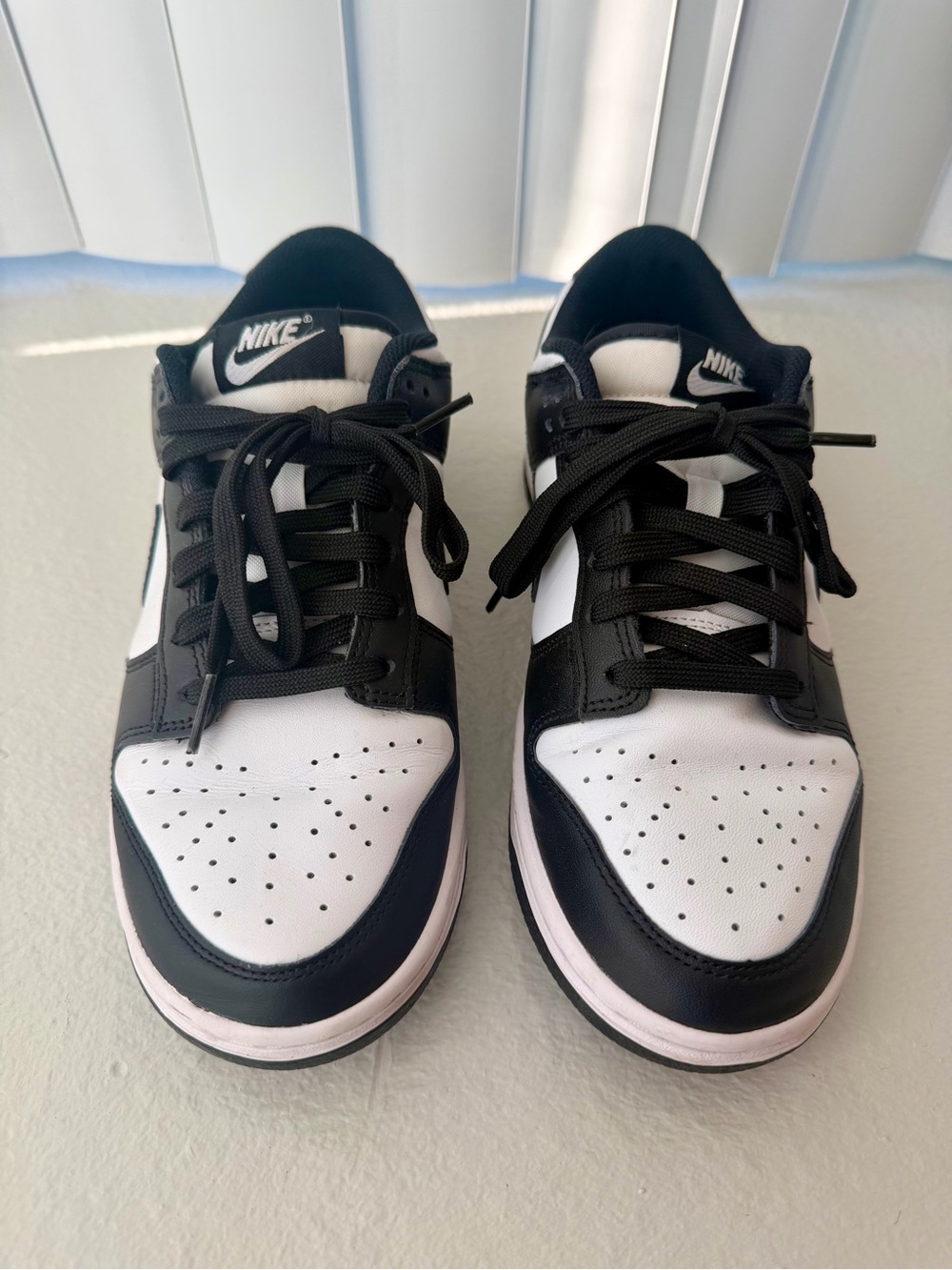 Nike Dunk Low-Top Sneakers